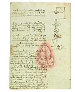Codex on the Flight of Birds, Folio 15 Verso by Leonardo da Vinci